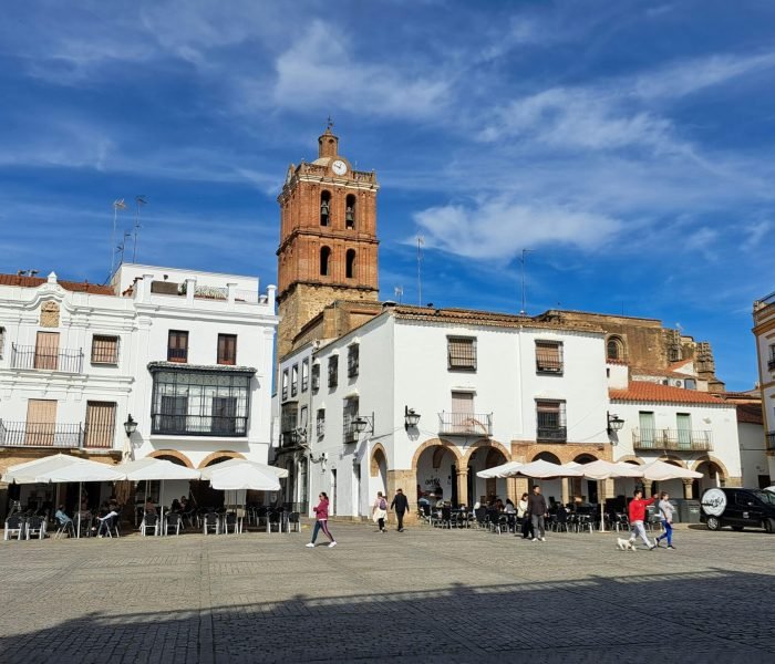 sergio-guardiola-herrador-LkMGy2JksGQ-unsplash (1)