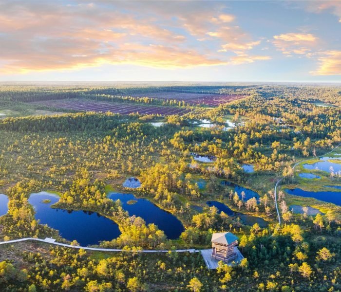 stefan-hiienurm-K7KuWYOlrKI-unsplash (1)