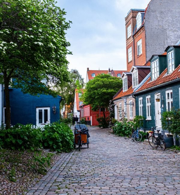 steffen-muldbjerg-SmMVE8XpH90-unsplash (1)