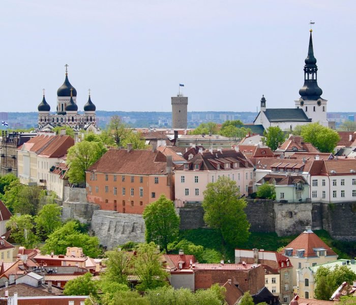 tallin img (1) compressed