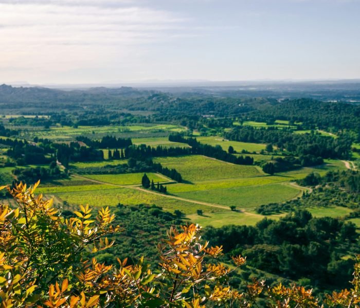 thibaut-marquis-OA6dgSMUfgI-unsplash (1)