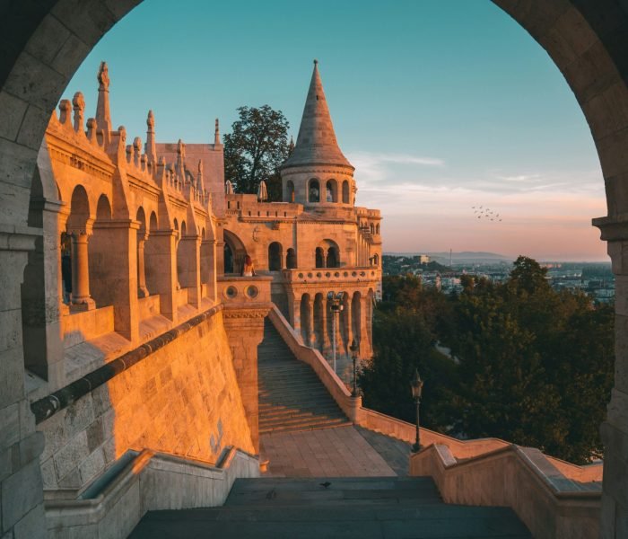 tobias-reich-PwK4H7zykHE-unsplash (1)