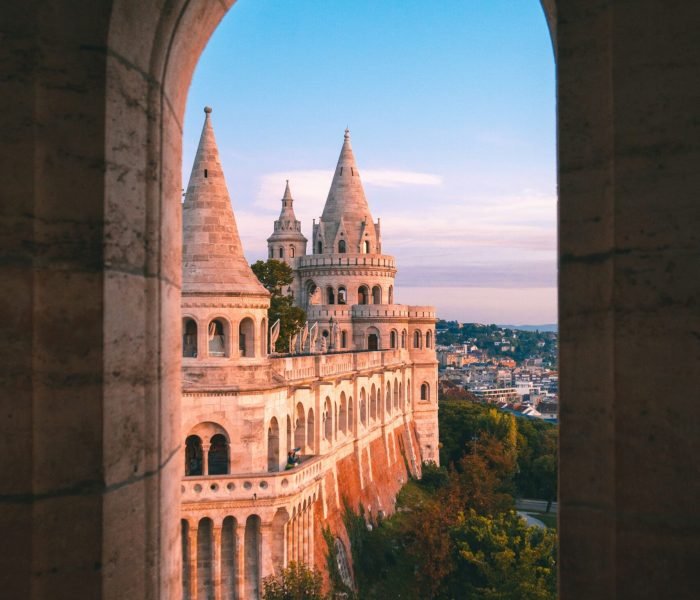 tobias-reich-z84mu-Y9gjo-unsplash (1)