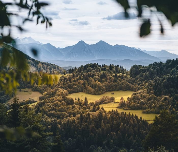 tomasz-filipek-cxxKCEf_ttA-unsplash