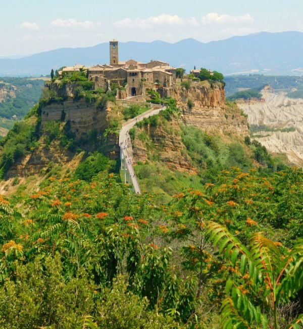 viviana-couto-sayalero-ndRtD-9Q1Rw-unsplash (1)