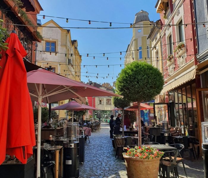 yana-chuchuranova-vJqvMZK8poE-unsplash (1)